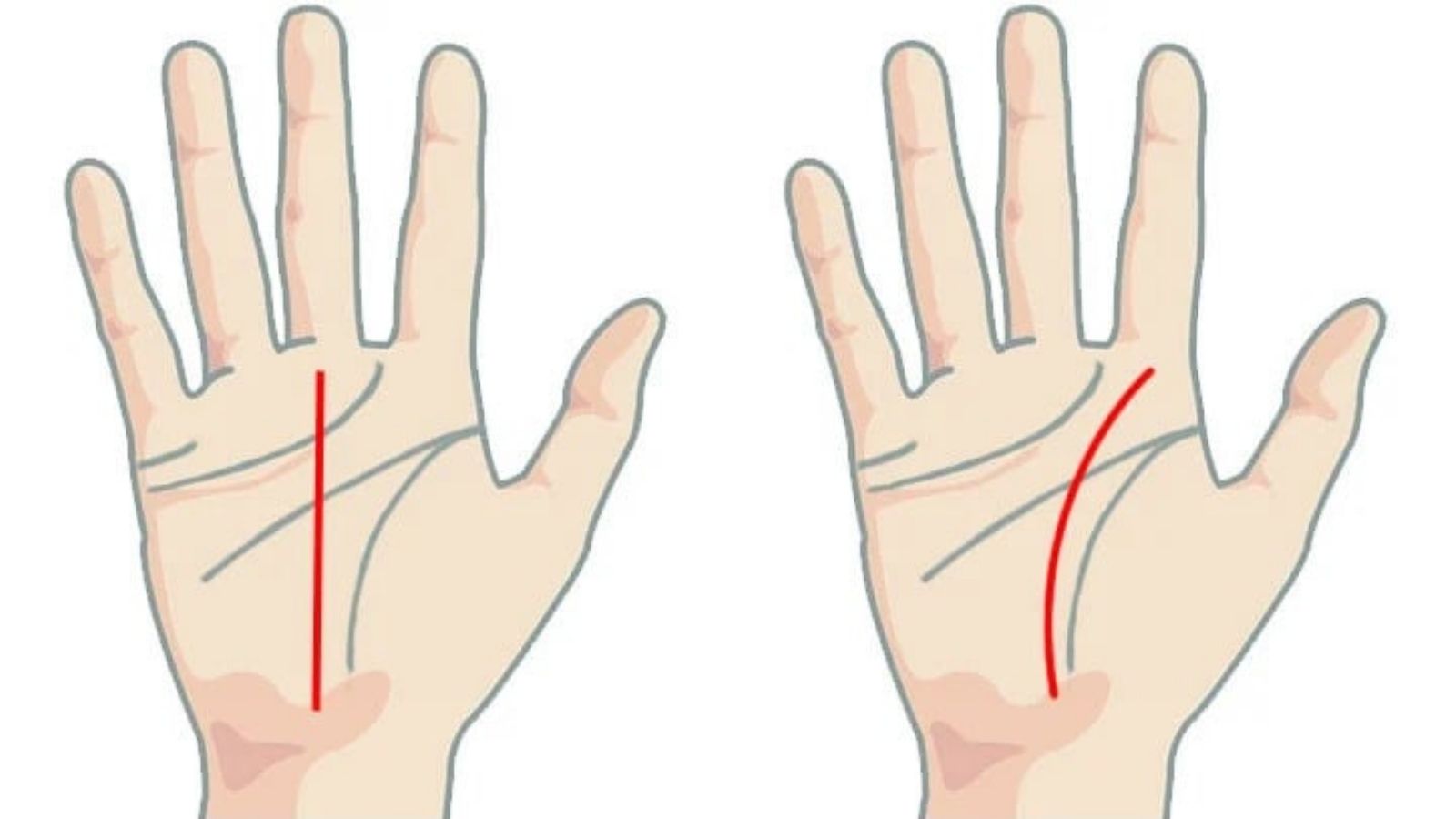 Xem vân tay nữ: Công nghệ độc đáo và chính xác | [Tên công ty/thương hiệu]