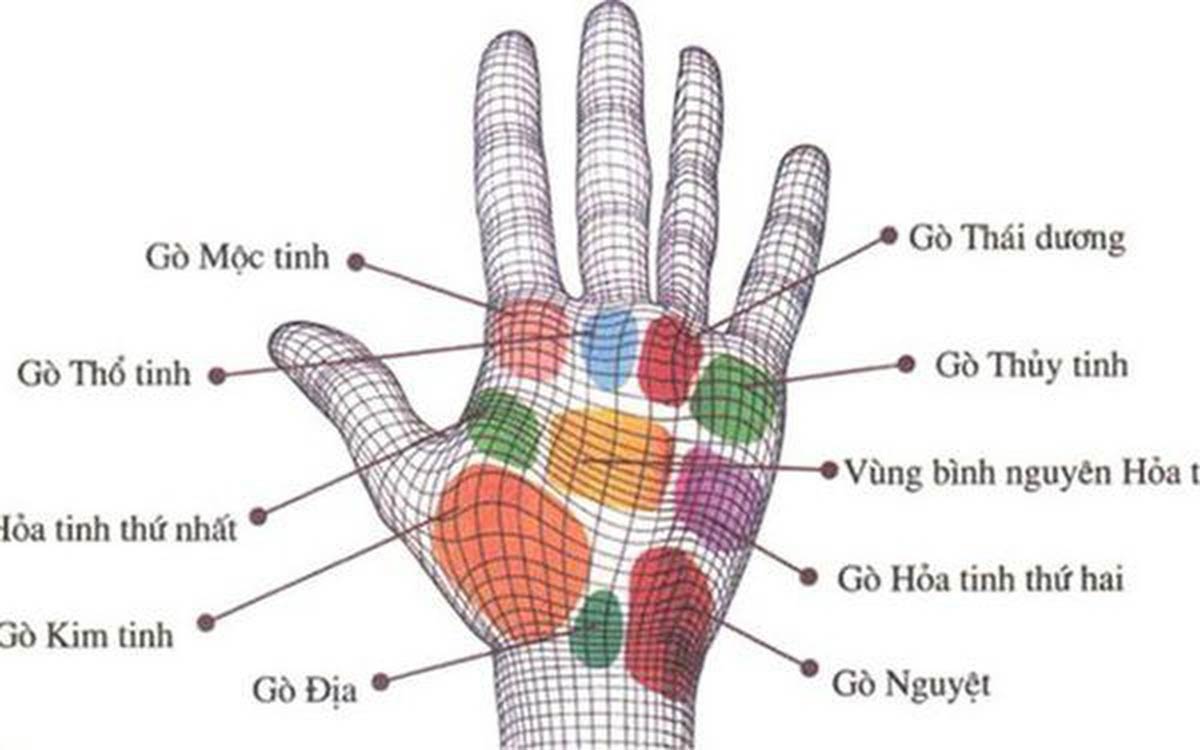 Xem vân tay phụ nữ: Cách thức hoạt động, ý nghĩa và ứng dụng hiện đại 2